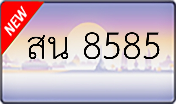 สน 8585